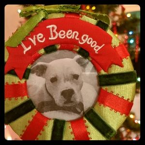 I've Been Good Pet Ornament